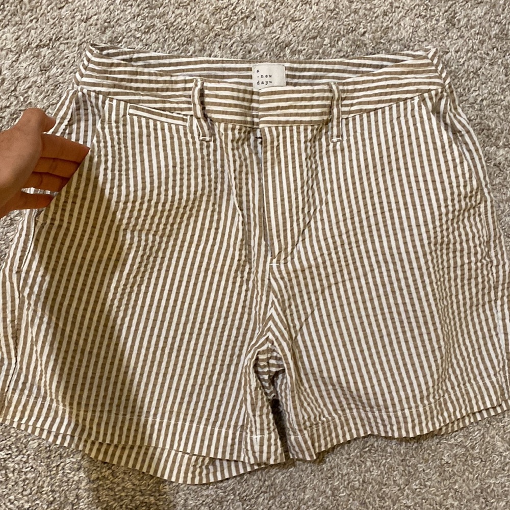 Dressy Shorts - Picture 4 of 4